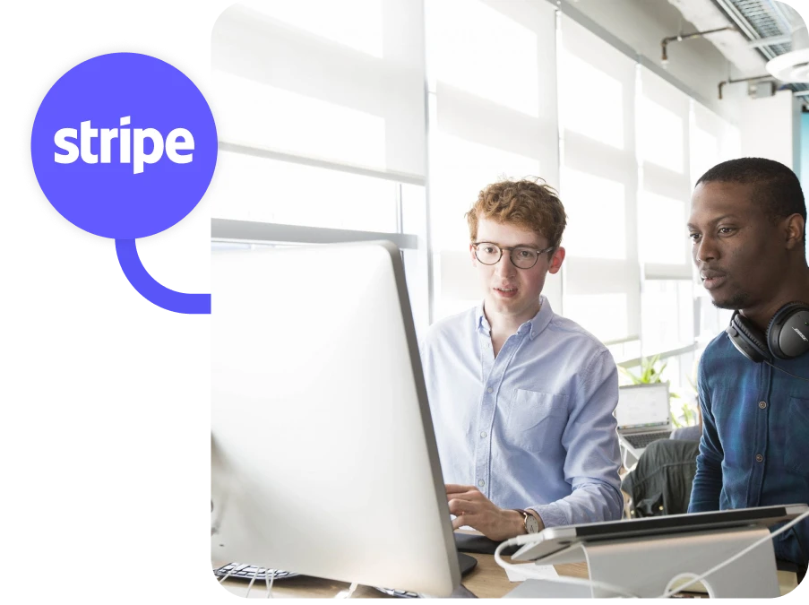 stripe_processing_fees